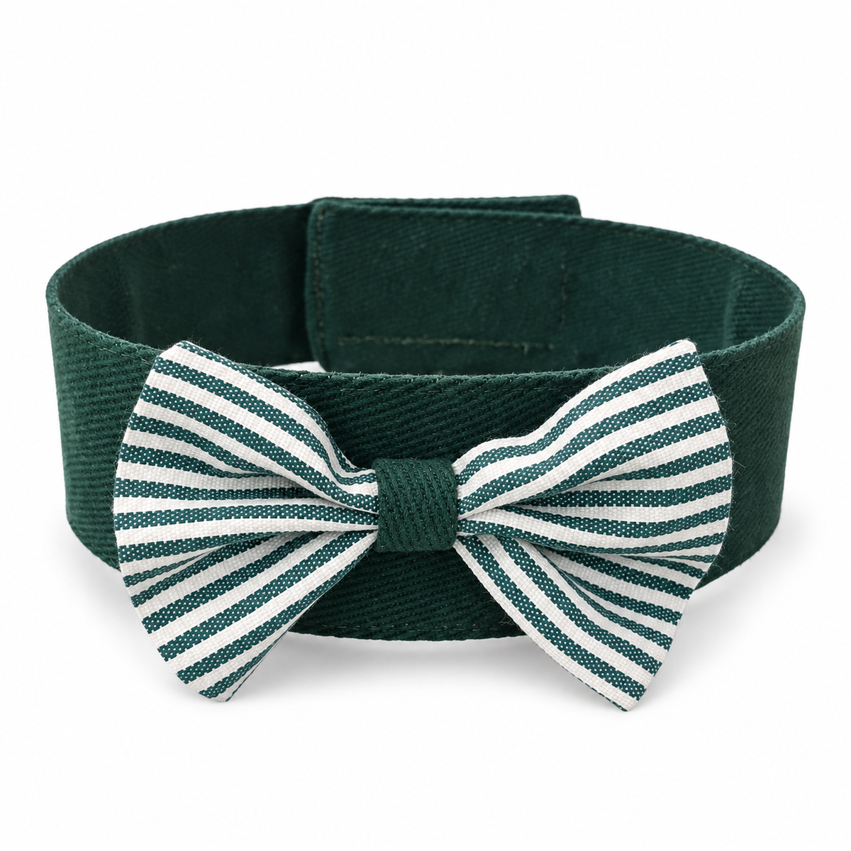 Dog wearing the green and white Majd Bow Collar