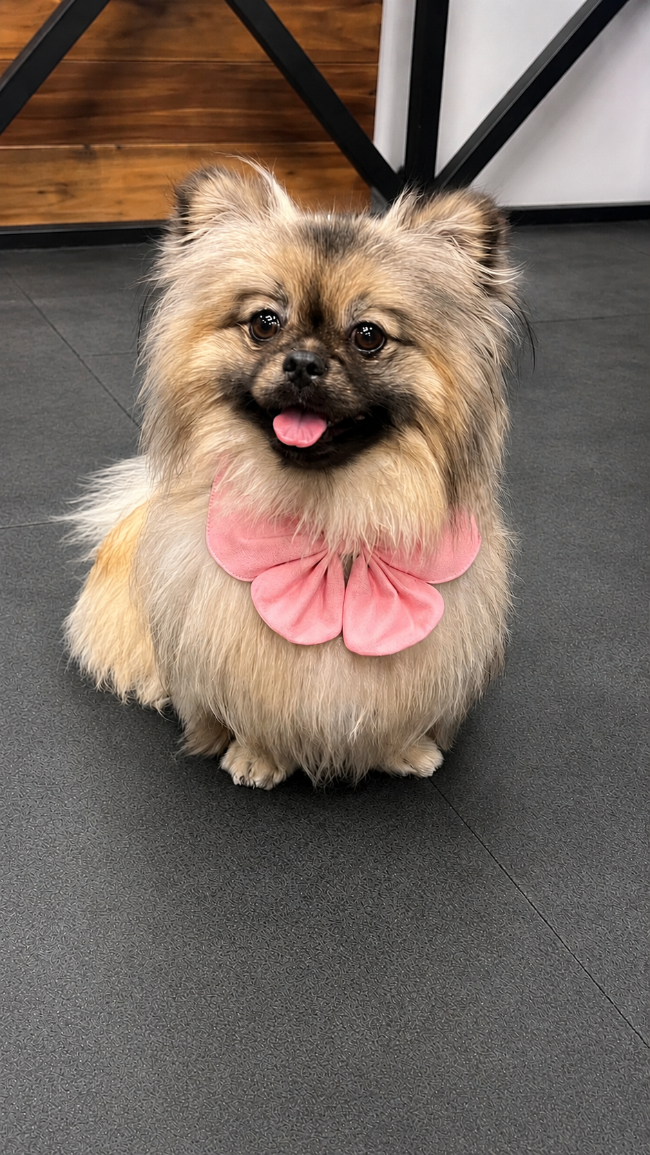 Pink Bowdana