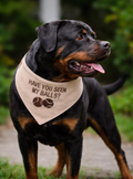 "Have You Seen My Balls?" Pet Bandana