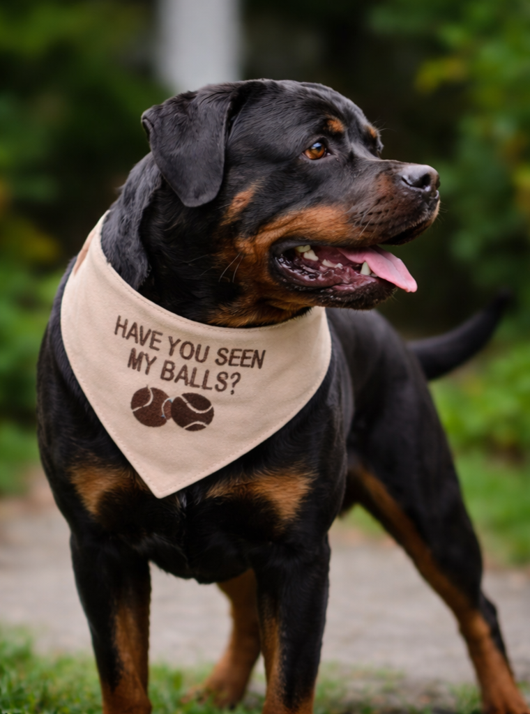 "Have You Seen My Balls?" Pet Bandana