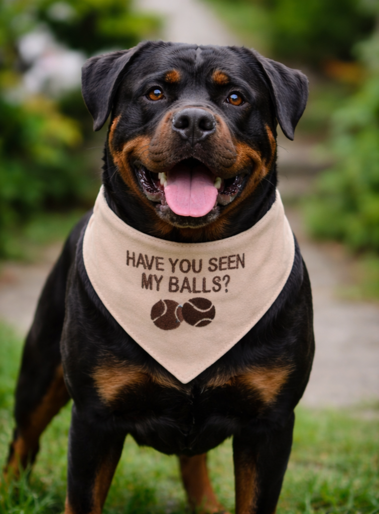 "Have You Seen My Balls?" Pet Bandana