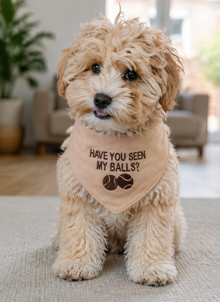 "Have You Seen My Balls?" Pet Bandana