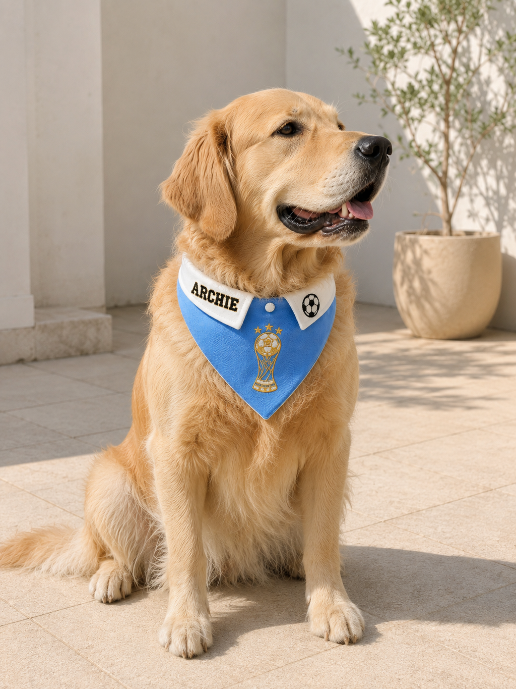 Football Trophy Bandana Collar