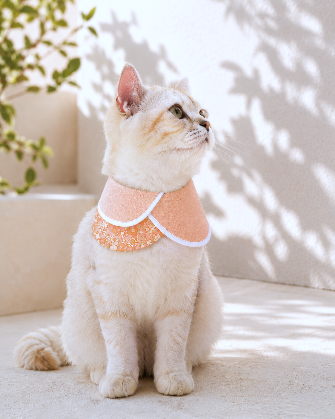Peach Petals Collar