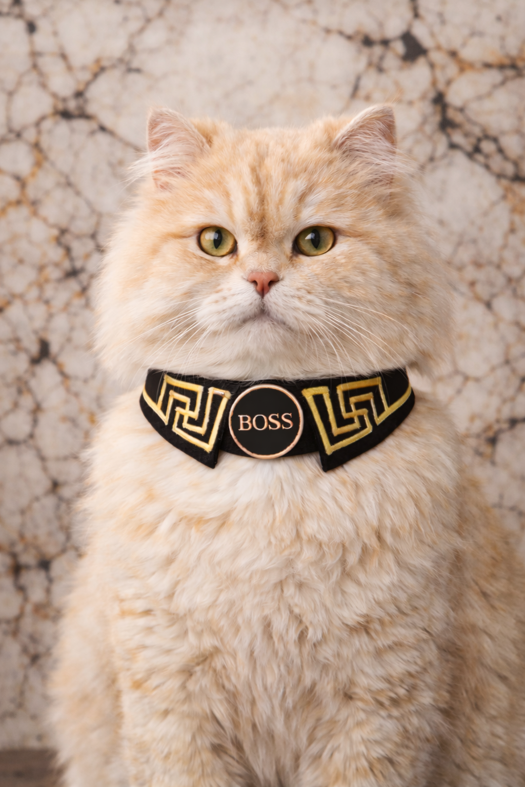 BOSS Gold Greek Key Collar