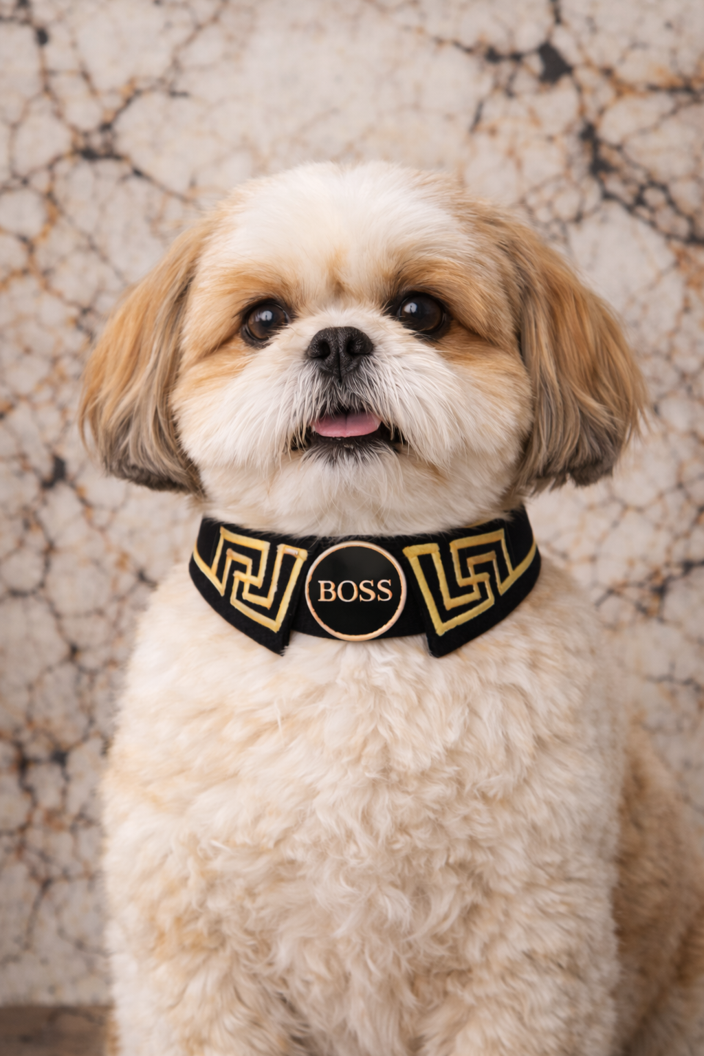 BOSS Gold Greek Key Collar