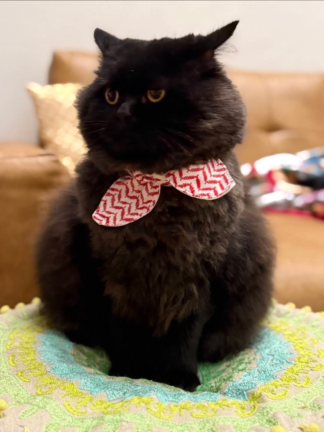 Arabian Knot Collar