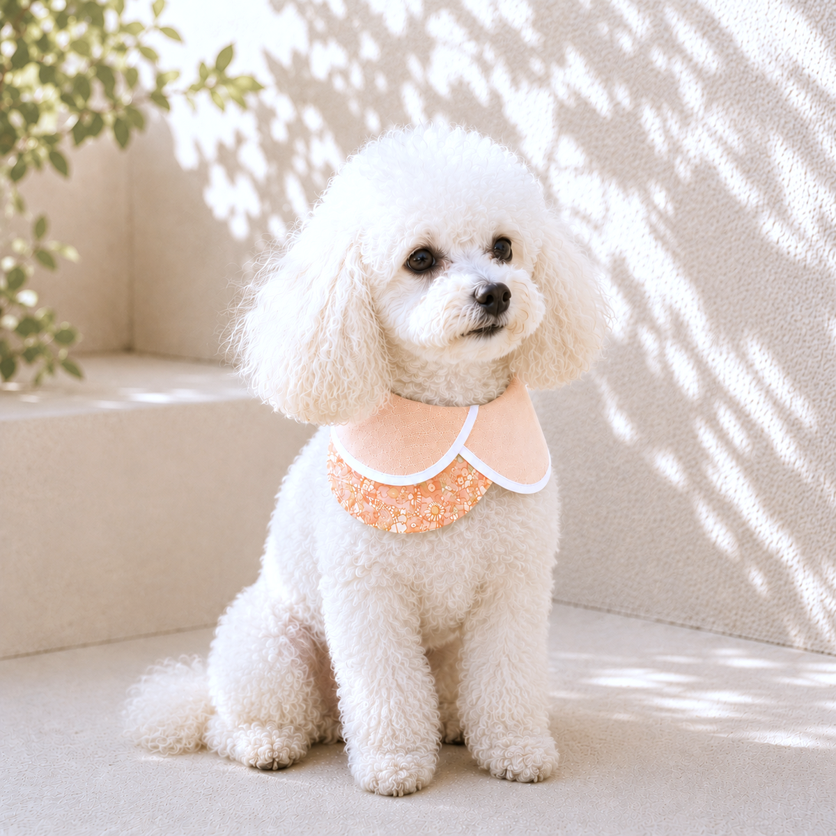Peach Petals Collar