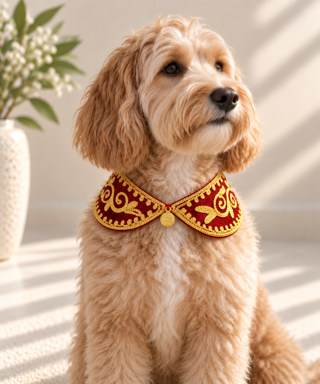 Arabesque Zari Collar on dog - red colorway