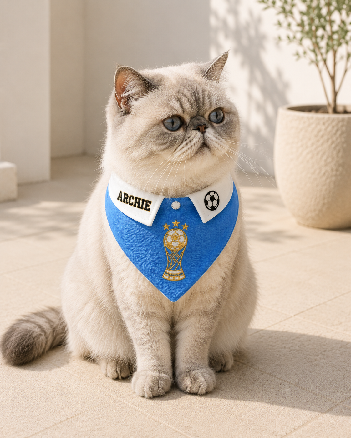Football Trophy Bandana Collar