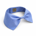 Blue Bow Tie Collar