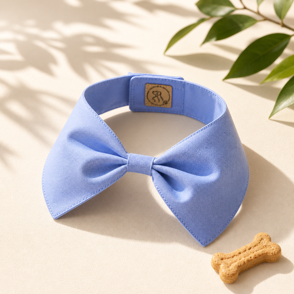 Blue Bow Tie Collar